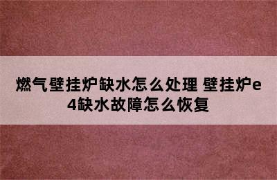 燃气壁挂炉缺水怎么处理 壁挂炉e4缺水故障怎么恢复